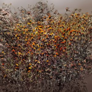 LONG WALK TO MOSTEIROS