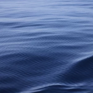 LIEVE. ESSERE E SVANIRE