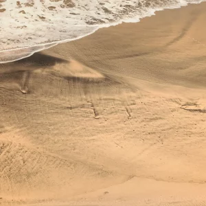 DELICATE, LUXURIOUS SYMPHONY