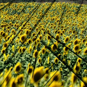 TERZA DIMENSIONE, GIALLO SPAZIALE