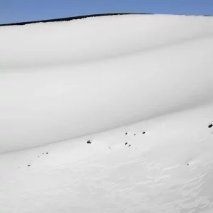 DOLCE INTRODUZIONE ALL'EVASIONE