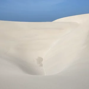 THE INVISIBLE MESSAGE OF THE WIND