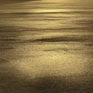 ABSOLUTE LUXURY GOLD