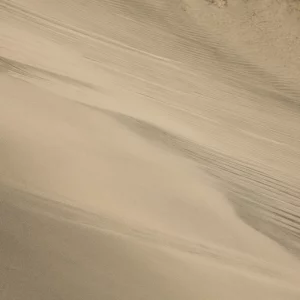 DELICATE PORTRAIT OF THE WIND