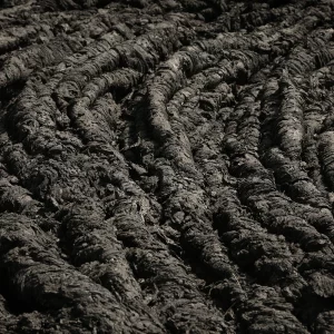 PRIMORDIAL REFLECTION ON THE ESSENCE V